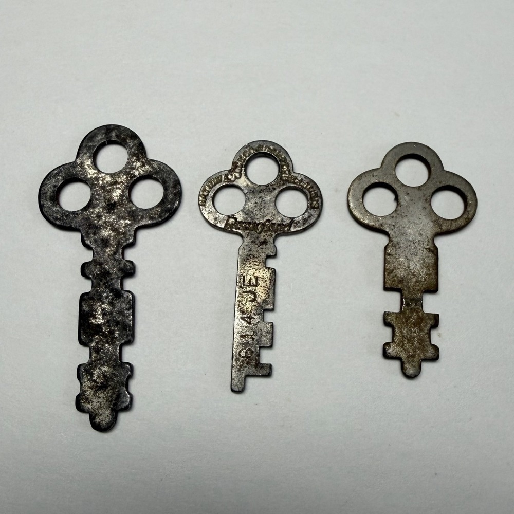 3 Trefoil Flat Skeleton Keys includes a National Lock Co Rockford, Il Steampunk